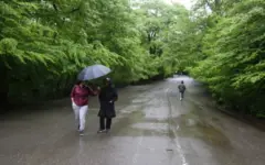 وضعیت آب و هوا، امروز ۶ مهر ۱۴۰۵؛ تداوم بارش‌های پراکنده در برخی مناطق نوار شمالی کشور