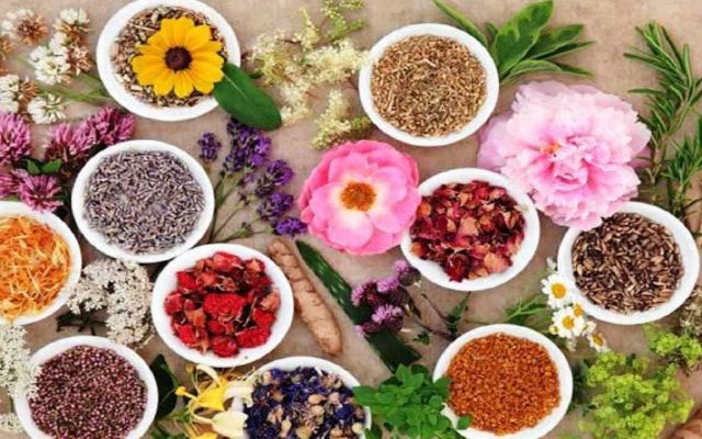صادرات ۲۹ هزار تن گیاهان دارویی به اتحادیه اروپا