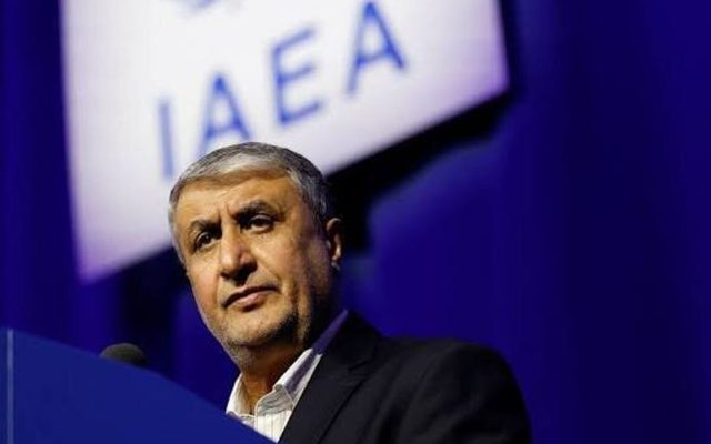 اتریش دلیل عدم صدور ویزا برای رئیس سازمان انرژی اتمی ایران را «عدم وجود اجماع در شورای امنیت سازمان ملل» دانست