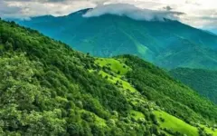توسعه پایش ماهواره‌ای آلودگی هوا در جنگل‌های ارسباران در دستور کار