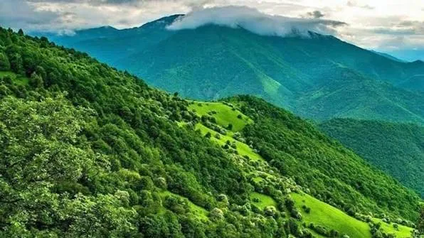 توسعه پایش ماهواره‌ای آلودگی هوا در جنگل‌های ارسباران در دستور کار