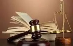 هم‌نشینی اجباری در یک قاب