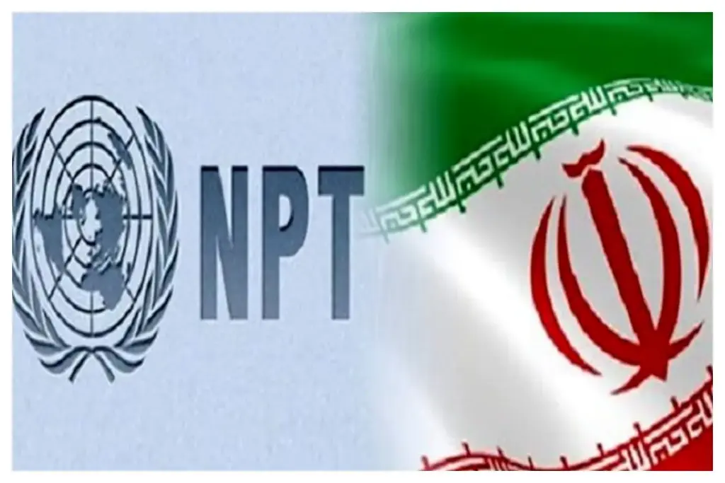 وضعیت خروج از NPT : شعام تصمیم می گیرد یا مجلس ؟