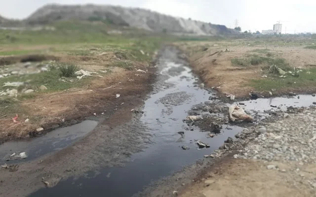 شمال ایران در محاصره زباله؛ از مرگ جنگل‌های هیرکانی تا تهدید سفره‌های آب
