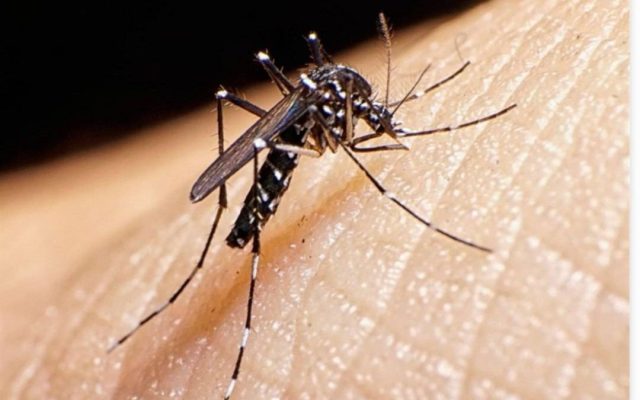 آمادگی بهداشت خوزستان برای موج بارندگی و خطر آئدس