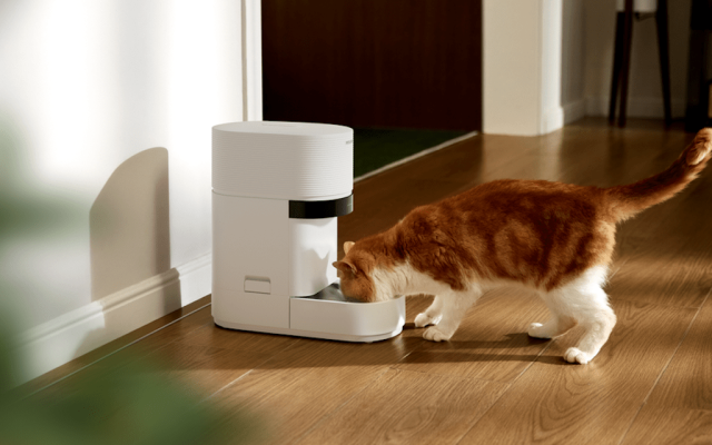 Petlibro’s new AI-powered feeder is a game changer for multi-cat homes