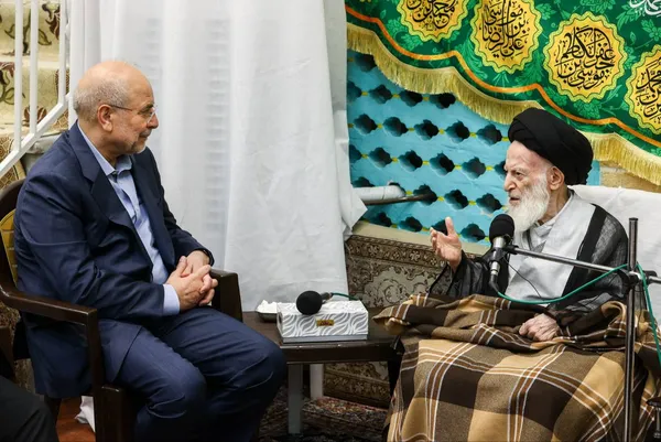 آیت‌الله شبیری زنجانی عمر خویش را در راه ترویج دین سپری کرد