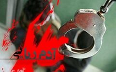 گزارش روزنامه اعتماد از پرونده باند آدم‌ربایی اتباع افغان / آدم‌ربایان قلب هر قربانی را ۱۵ میلیارد تومان معامله کردند! / سه نفر از اعضای باند تاکون دستگیر شدند