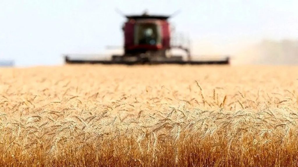 مجلس چه نقشی در مسیر خودکفایی گندم داشت؟