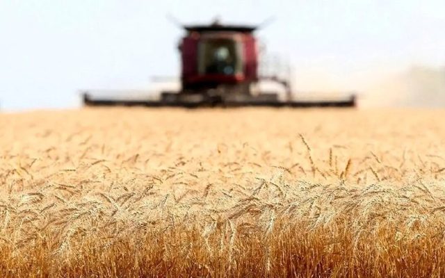 مجلس چه نقشی در مسیر خودکفایی گندم داشت؟
