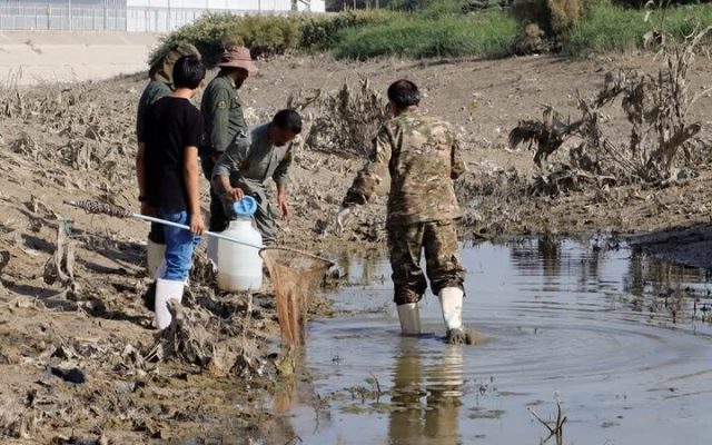 نجات ماهی‌های زاینده‌رود از رودخانه نیمه‌جانِ اصفهان/عملیات ادامه دارد