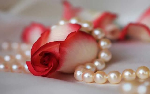 راز خانه آرام چیست؟ چرا نقش زن در مدیریت خانواده فراتر از کارهای روزمره است؟