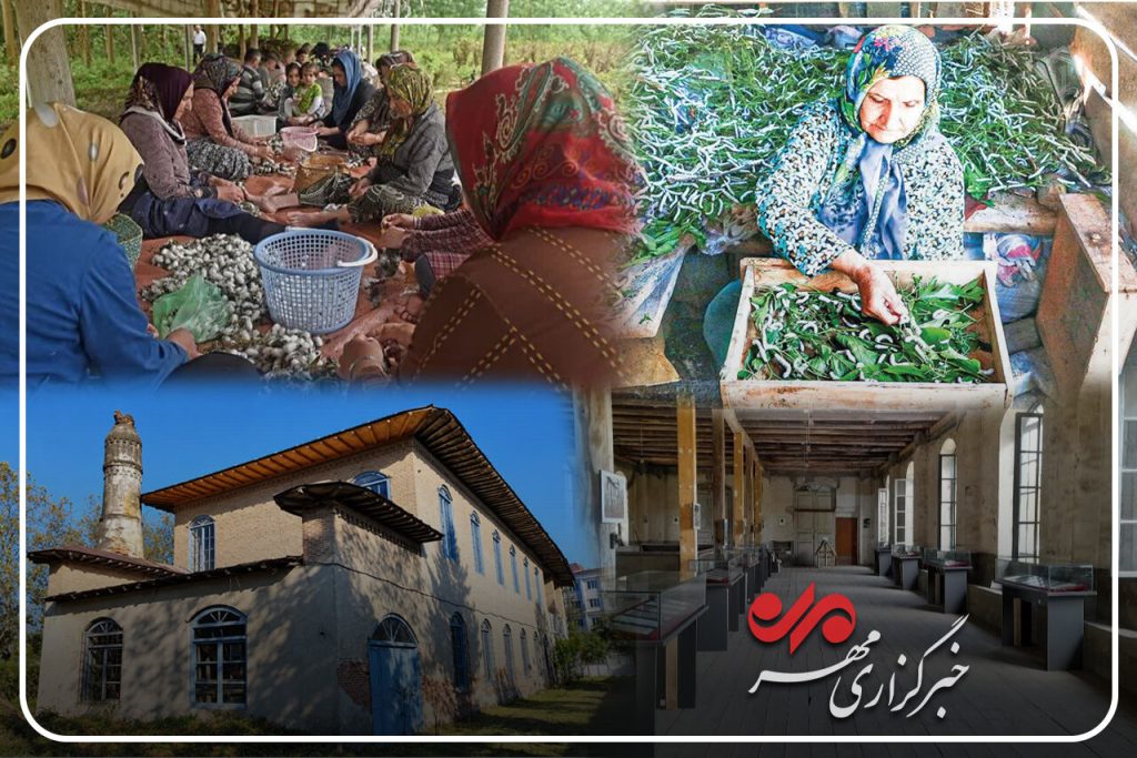 لاهیجان؛ از شکوه ابریشم تا شهرت چای