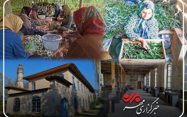 لاهیجان؛ از شکوه ابریشم تا شهرت چای