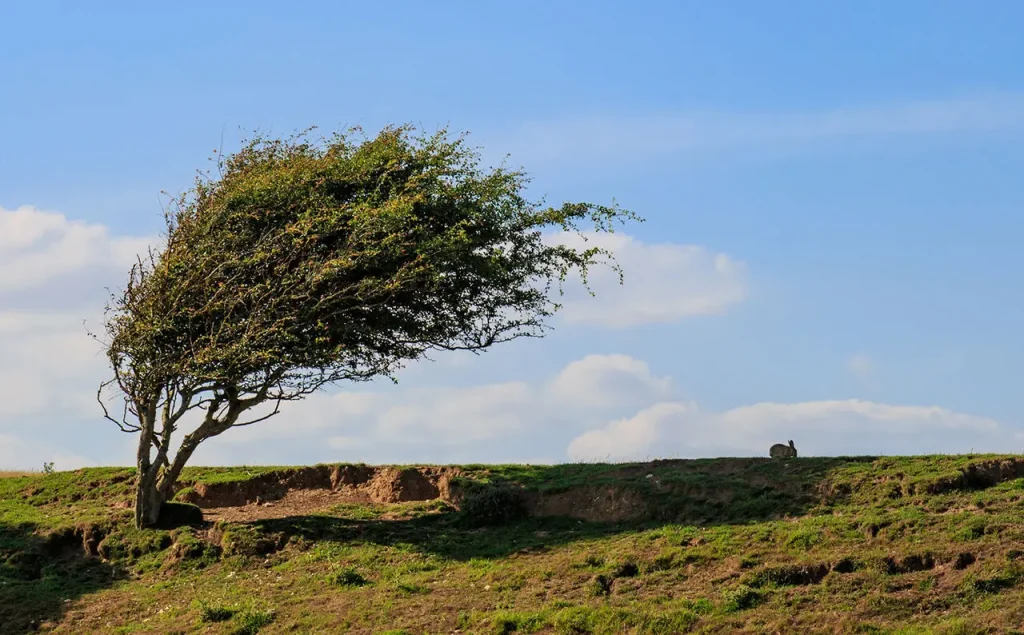 پیش بینی هوای لرستان فردا ۲۰ شهریور ۱۴۰۵/ افزایش سرعت وزش باد و افزایش دما