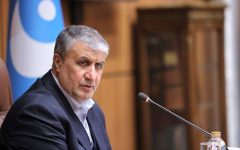 پیام تسلیت رئیس سازمان انرژی اتمی در پی ارتحال آیت‌الله شبیری زنجانی