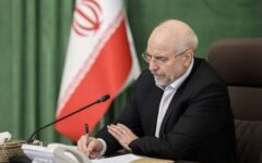پیام قالیباف در پی ترور یک فرمانده بسیج خواهران/ عاملان این جنایت، در برابر قانون و عدالت پاسخ‌گو خواهند شد