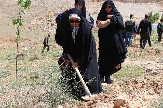 ۱۱۰ هزار اصله درخت به یاد شهدا در البرز غرس می شود
