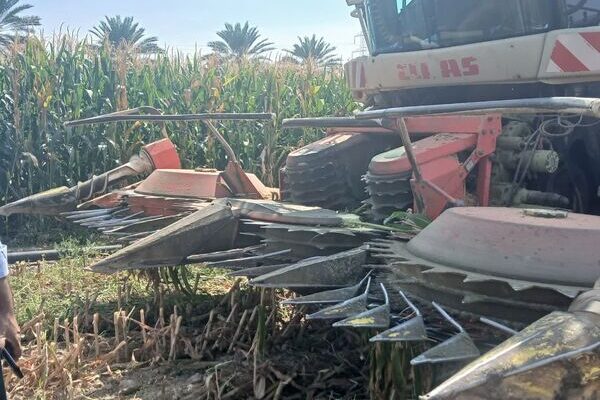استفاده از کمباین خودگردان برداشت ذرت در مزارع جهرم