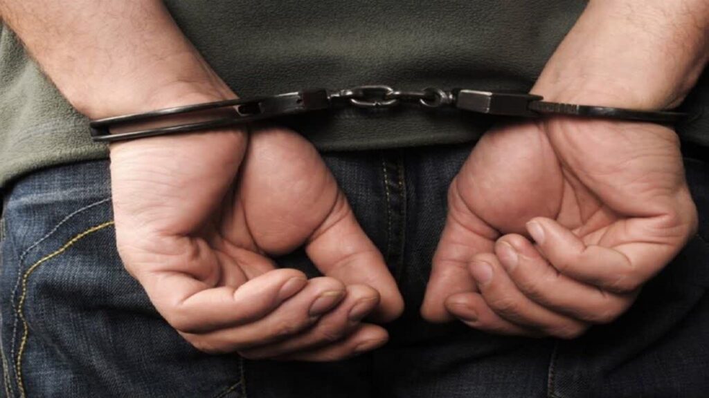 دستگیری سریع متخلفان در پی حمله به مامور حفاظت جنگل نکا