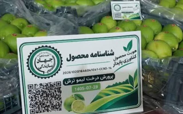 کد کیوآر برای اولین بار بر محصول خرما و لیموترش فارس نصب شد