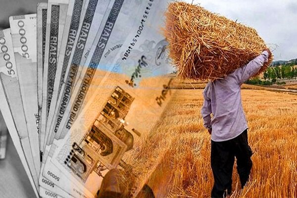 تسویه کامل مطالبات گندمکاران تهران تا روزهای آینده