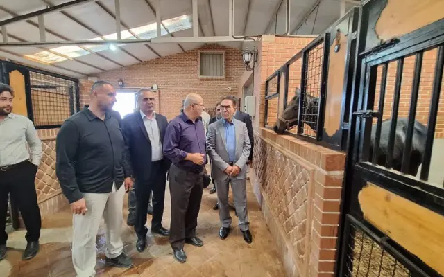 رئیس فدراسیون سوارکاری از چند باشگاه سوارکاری در استان قزوین بازدید کرد