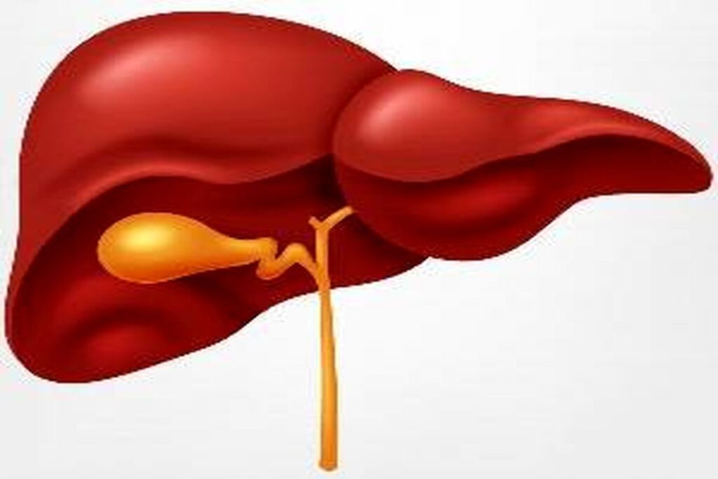 غذا خوردن در این ساعت از روز کبدتان را نابود می کند