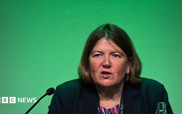 Green Party wants to make sure it is 'not vulnerable to extremists'