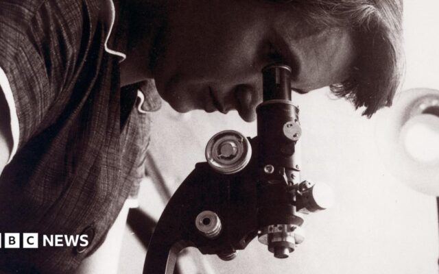 Only one female scientist named in GCSEs, research finds