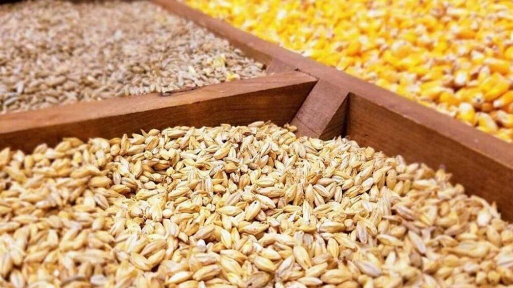 ظرفیت تولید بیش از ۳ میلیون تن گوشت مرغ در کشور وجود دارد