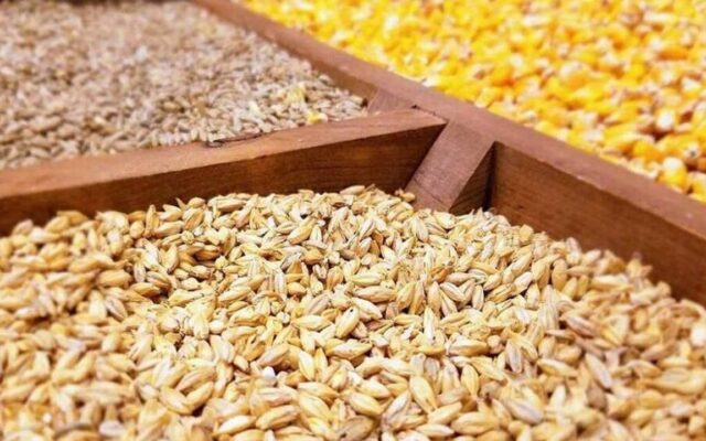 ظرفیت تولید بیش از ۳ میلیون تن گوشت مرغ در کشور وجود دارد