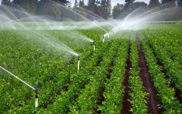 اجرای ۱۷ طرح آبیاری تحت فشار در ۸ شهرستان لرستان