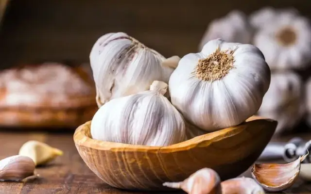 بررسی بالینی اثر عصاره سیر در درمان عفونت پاپیلومای انسانی