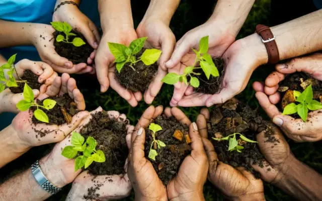 دومین پویش نهالکاری سال ۱۴۰۵ برگزار میشود