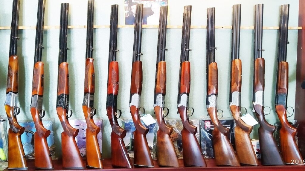 کشف و ضبط ۲۱ قبضه سلاح شکاری در مناطق تحت مدیریت لرستان؛ متخلفان به مراجع قضایی معرفی شدند