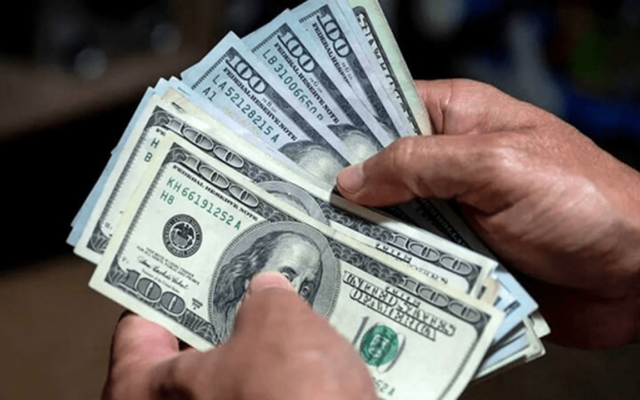 تاخیر ۱۹ ماهه در تخصیص ارز، علت رسوب کالا و گرفتاری واردکنندگان است