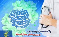 از کربلا تا بالین بیمار؛ تجلی صبر زینبی(س)