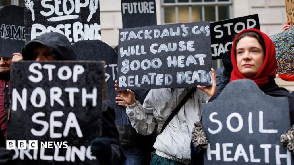 Why Jackdaw decision ignites row over climate and costs
