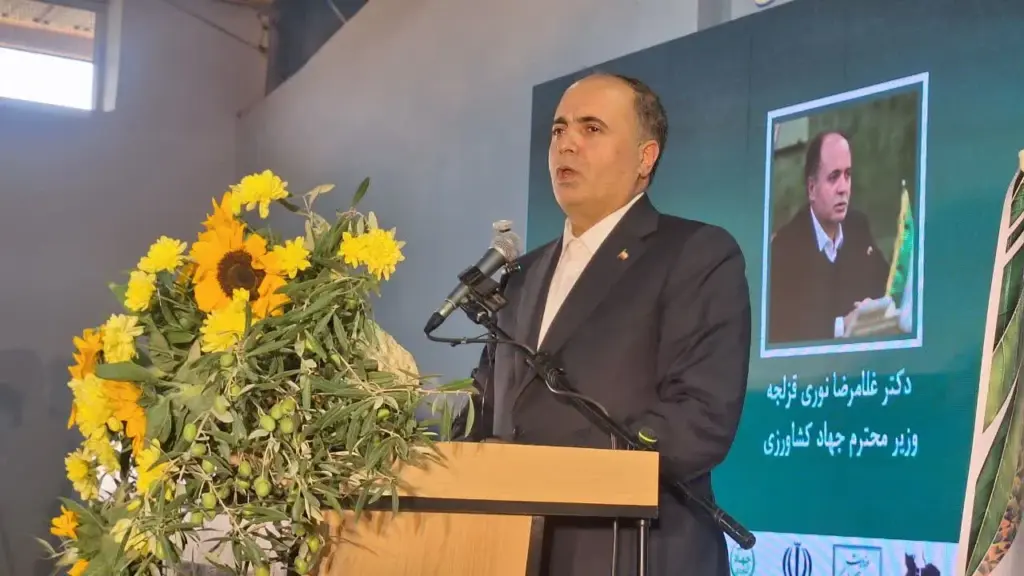 با بهره گیری از روشهای نوین، تولید زیتون به ۱۵۰ هزار تن میرسد/ صادرات روغن زیتون را محقق می کنیم