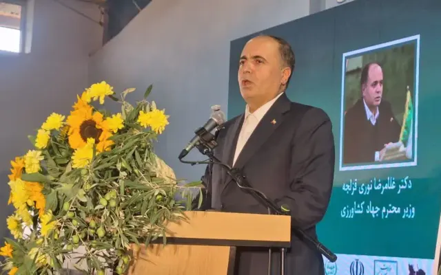 با بهره گیری از روش‌های نوین، تولید زیتون به ۱۵۰ هزار تن می‌رسد/ صادرات روغن زیتون را محقق می کنیم