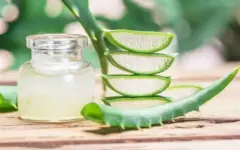 آیا می‌توان هر روز از ژل آلوئه‌ورا برای صورت استفاده کرد؟