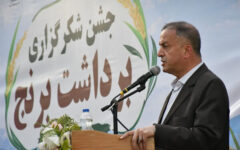 مشایخی: کشاورزی محور سند توسعه میانه است