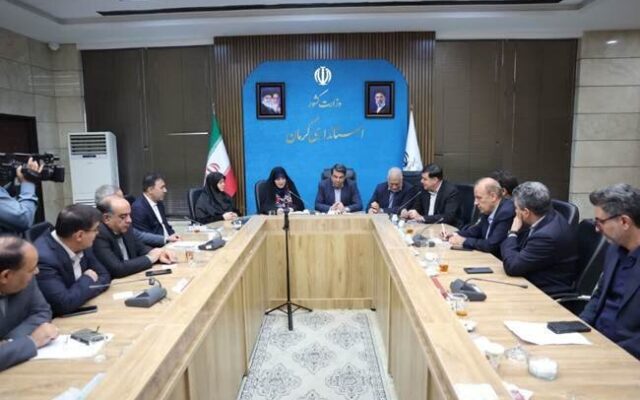 استفاده از تمامی ظرفیت‌ها برای توسعه کارآفرینی و خود اشتغالی ایثارگران