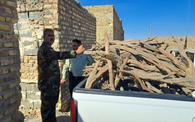 کشف یک تن چوب جنگلی در تایباد