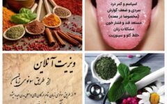 به درمانگرنما‌های طب سنتی در فضای مجازی اعتماد نکنید