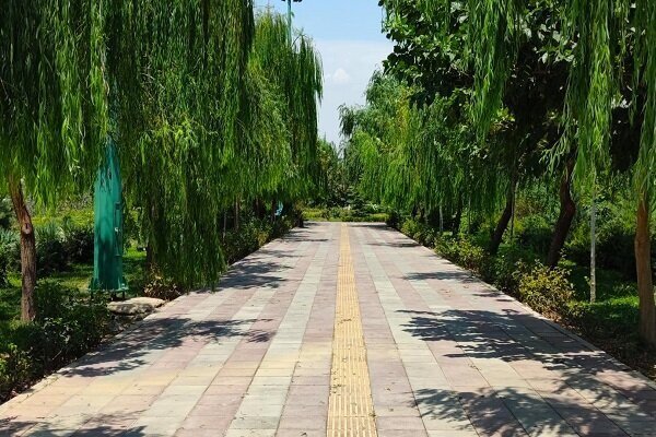طرح بزرگ «پارک زندگی» در دامنه بانکول ایوان وارد مرحله طراحی می شود
