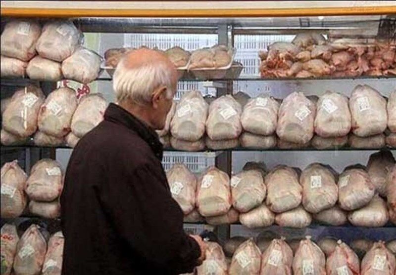 قیمت مرغ به تعادل رسید؟ نرخ مطلوب از نگاه معاون جهاد کشاورزی تهران