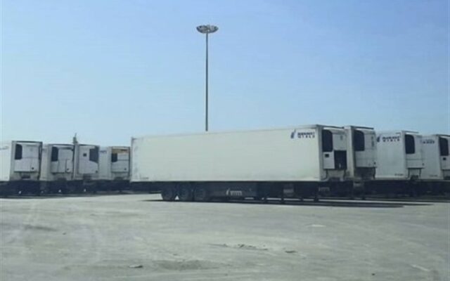 صادرات روزانه ۷۰ کانتینر کالا به مقصد قطر از بندر جنوبی استان بوشهر