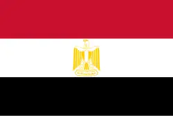 وعده «السیسی» برای کنارهگیری از قدرت
